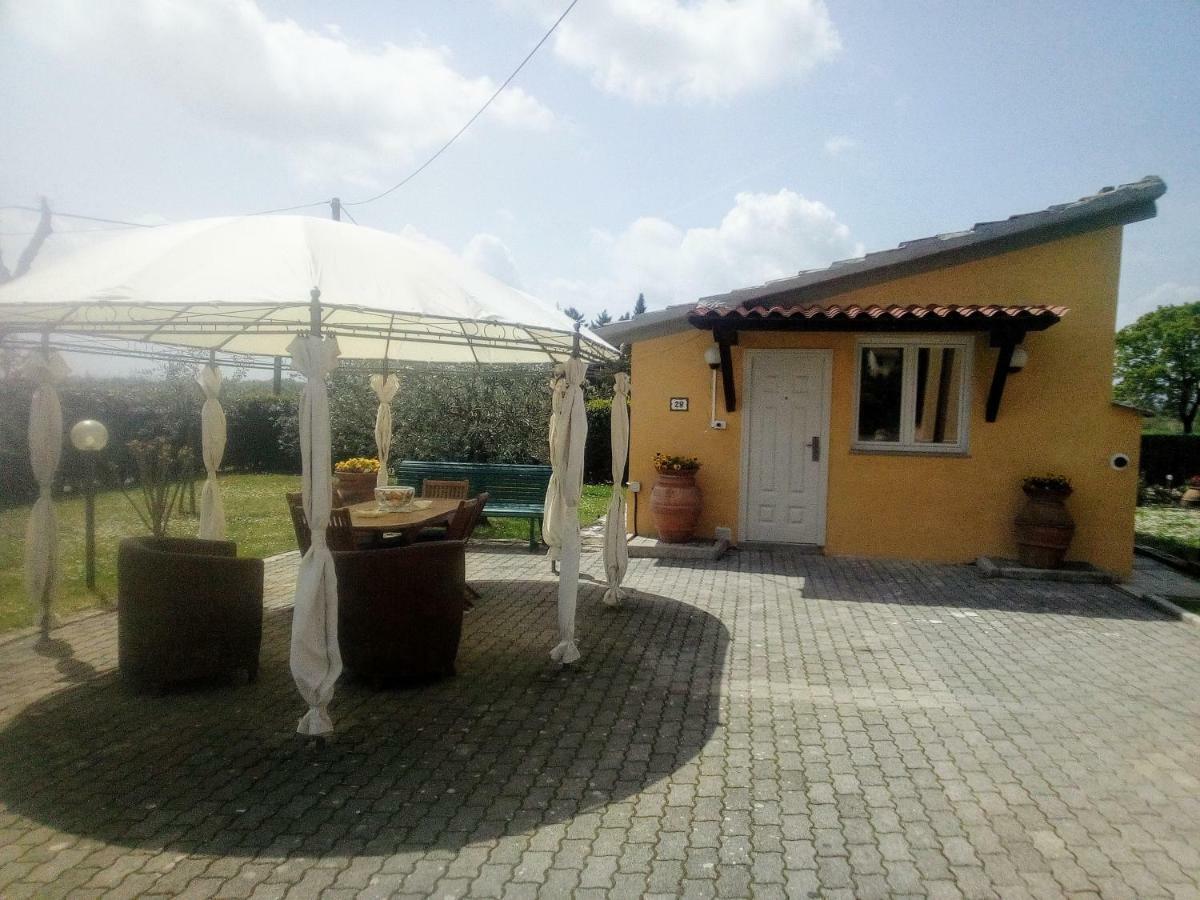 Appartamento Grey Arezzo Eksteriør billede